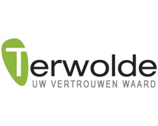 Logo Terwolde Renault